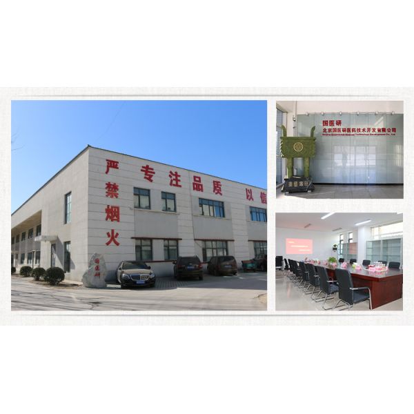 Bronze Human Body Acupuncture Model Manikin with Male Acupoints and Meridian Points