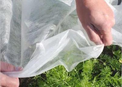 Agriculture 3.20m Width PET Non Woven Fabric 4500M/ Roll Polyester