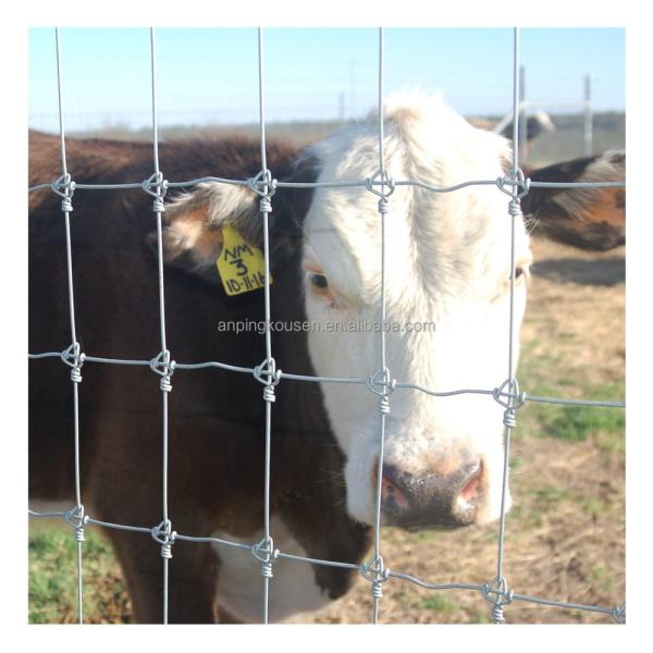 Fixed Knot Sheep Field Fence Veld Span Goat Proof Fence with 2.0mm-4.0mm Wire Diameter
