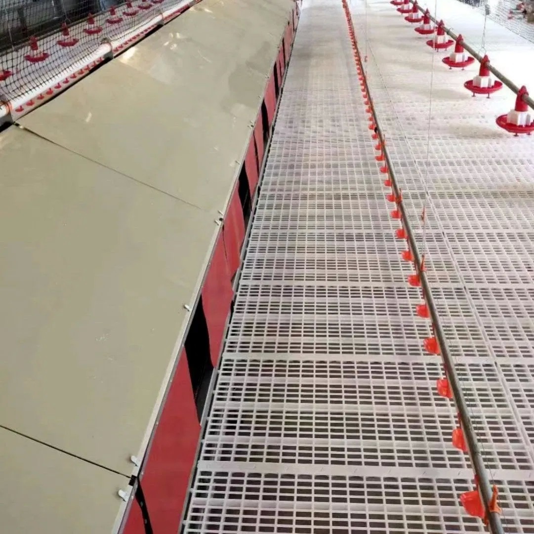 Plastic Automatic Poultry Slatted Floor White Color For Broiler Chicken Farms