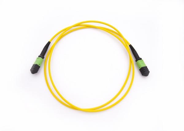 8F MPO fêmea ao cabo de remendo do cabo de fibra ótica de MPO com cabo de G657A1/LSZH