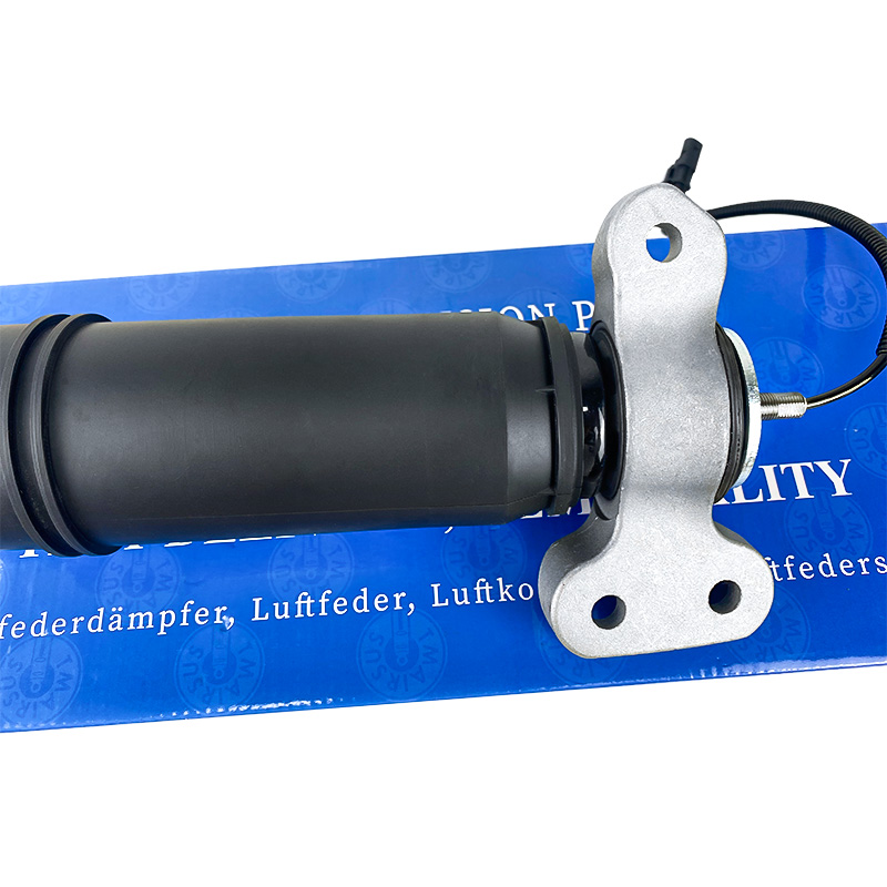 Pour les véhicules à moteur électrique à combustion