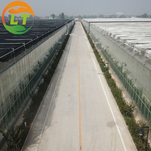 Многопролетные сельскохозяйственные теплицы с горячо оцинкованной сталью и умной системой