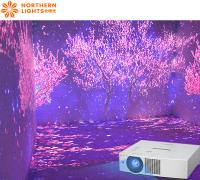 Projector 3D Imersivo Experiência Imersiva Projeção de parede para museu