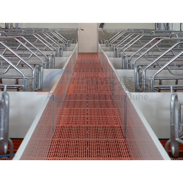 Сталелитейная ферма покупает оборудование для птицеводческой фермы в Индии