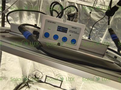 PWM que escurecem a horticultura conduzida 650Watt de Samsung LM301H crescem luzes