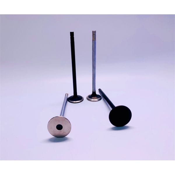 ISUZU 6WG1 Inlet Exhaust Diesel Engine Valve 1-12111198-0 1-12111056-0