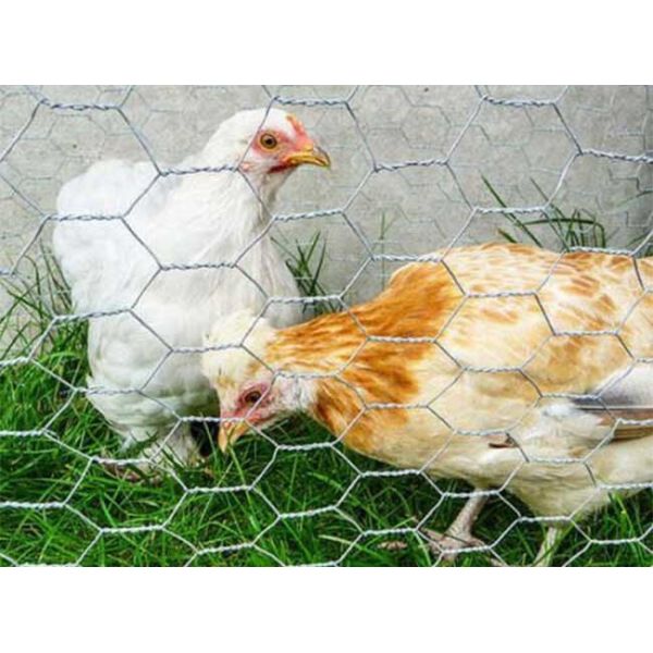 Galvanized, PVC Coated And Stainless Steel Poultry Netting