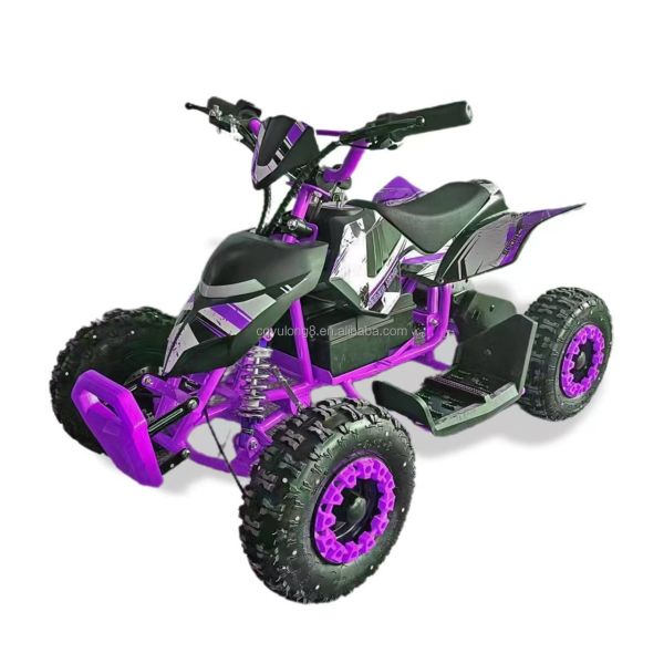 Discover the Excitement of Our Mini Quad Buggy ATV 500W Electric ATV for Kids and Adults