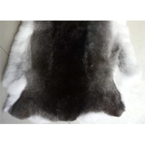 La piel bronceada de la piel del conejo de Rex de la hierba modificó el tamaño para requisitos particulares para los accesorios/ropa