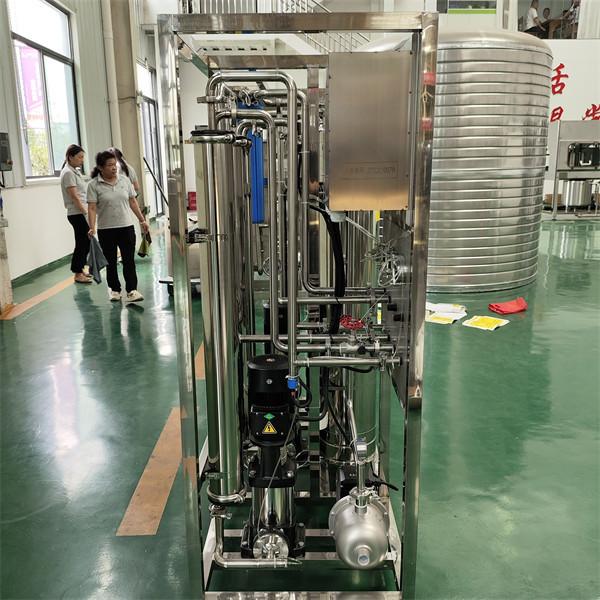 250LPH RO Water Purification System Industrial Reverse Osmosis Water Treatment Machine