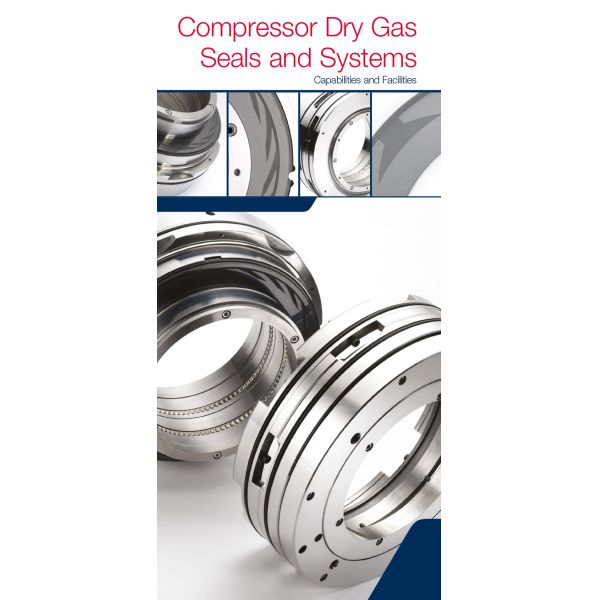 AESSEAL CCS Dry Gas Seals Cartridge Mechanical Seal for Compressor