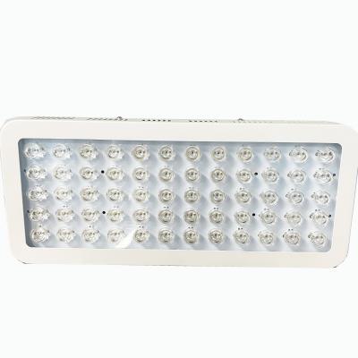 luz vermelha de 300W 850nm e terapia próxima da luz infra-vermelha para a dor do joelho