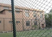 O PVC revestiu o elo de corrente do soldado que cerca a elevação do PVC Diamond Mesh Fencing 1500mm