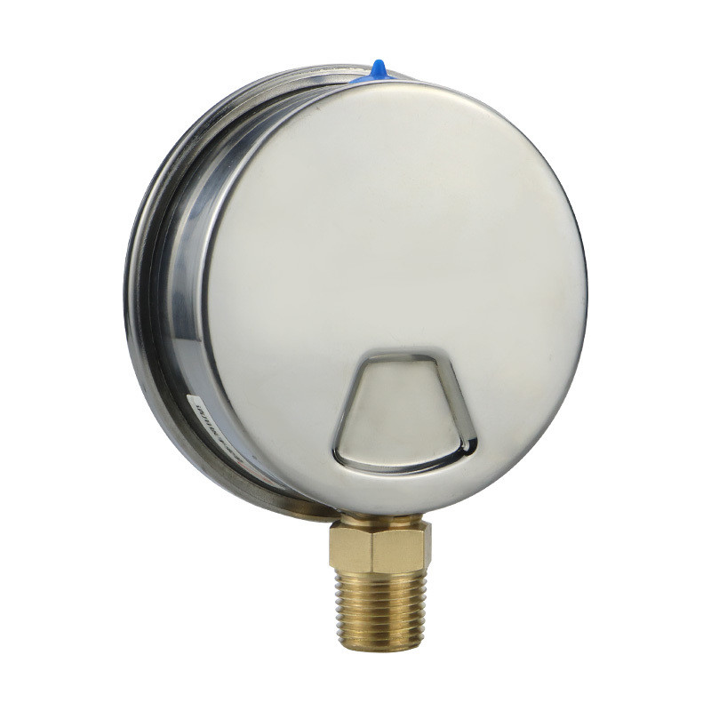 YN100 High Accuracy Glycerine Pressure Gauge in 4 Inch Size with Customizable Options