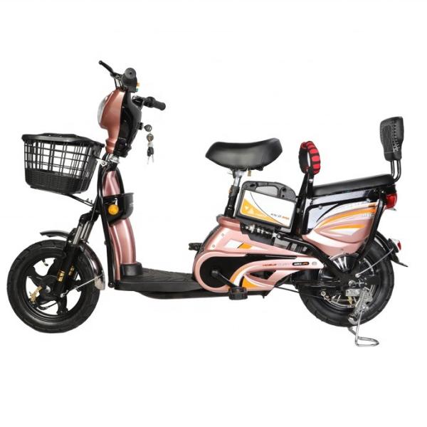 NO Foldable Long Distance Electric Bike 350W With 48V 12ah Battery And Smart Sensor