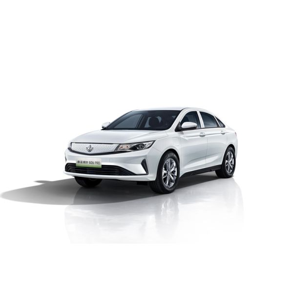 2024 Hot sales EV Electric Vehicle Maple Leaf 60s PRO Pure electric