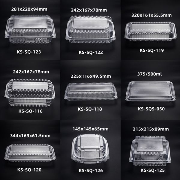 Factory Custom Eco Takeaway Food Packaging Plastic Box