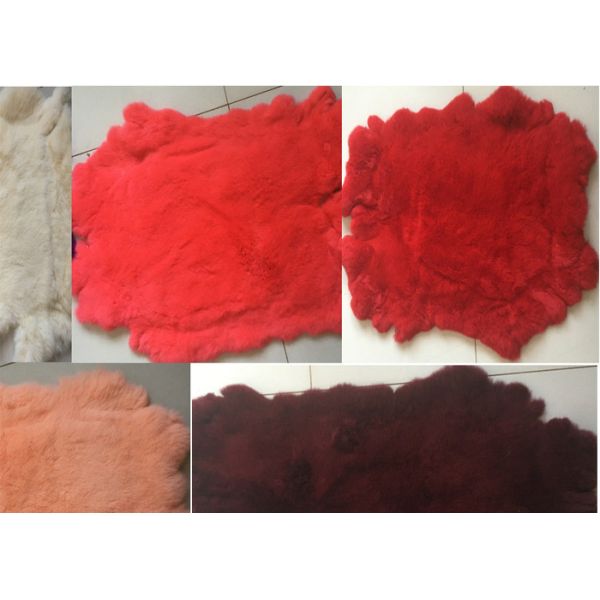 Pelos mullidos bronceados amistosos de Eco de Rex de la piel real auténtica del conejo para la materia textil casera