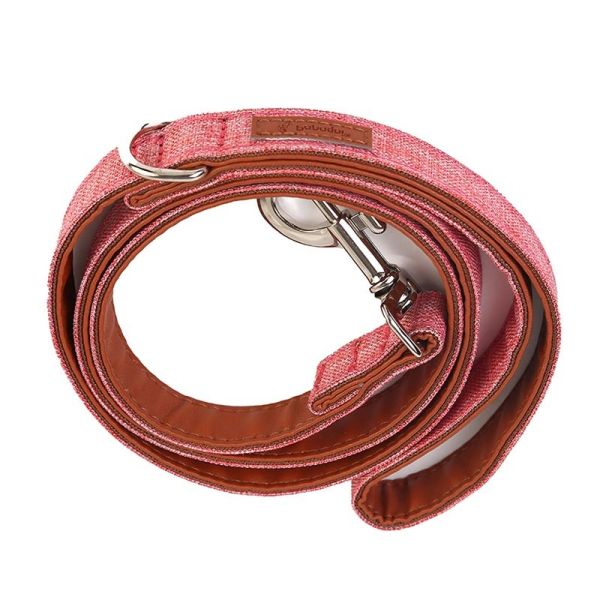 Collier de plomb personnalisé pour animaux de compagnie Collier tactique de