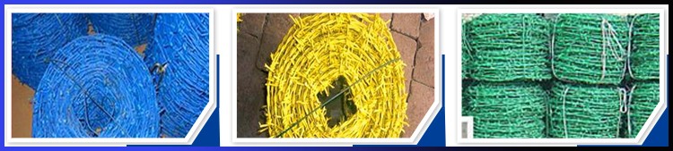 Гальванизированная двойная колючая проволока 20кг/Койл извива для границы травы