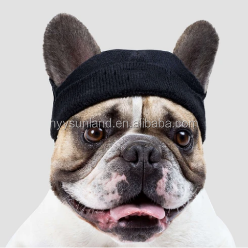 Y-Z Wholesale custom logo designer knitted adjustable winter warm funny dog skull hat