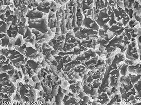 WARANTEC® ONEPLANT TAPERED Внутренний 3.6 / 5.3 Титановый Премиллионный Пустой 10 мм