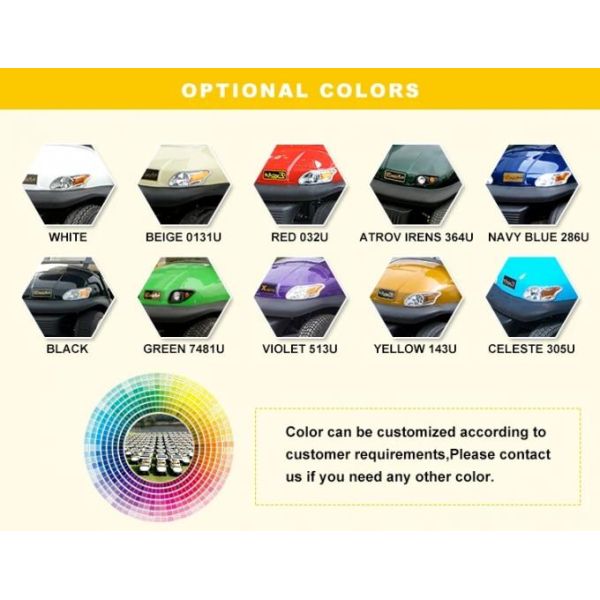 Batteries au lithium de 48V M1S2 2 Conception de voiture de golf électrique parfaite pour terrain de golf