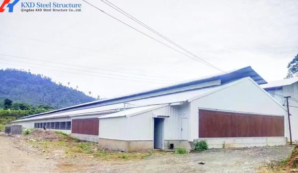 Prefab Steel Structure Broiler Chicken Shed with Onsite Installation