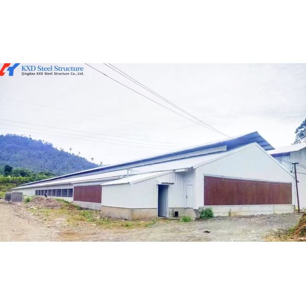 Galvanized Steel Poultry Farming Equipment with Automatic Operation and High Efficiency Auto Feeding System