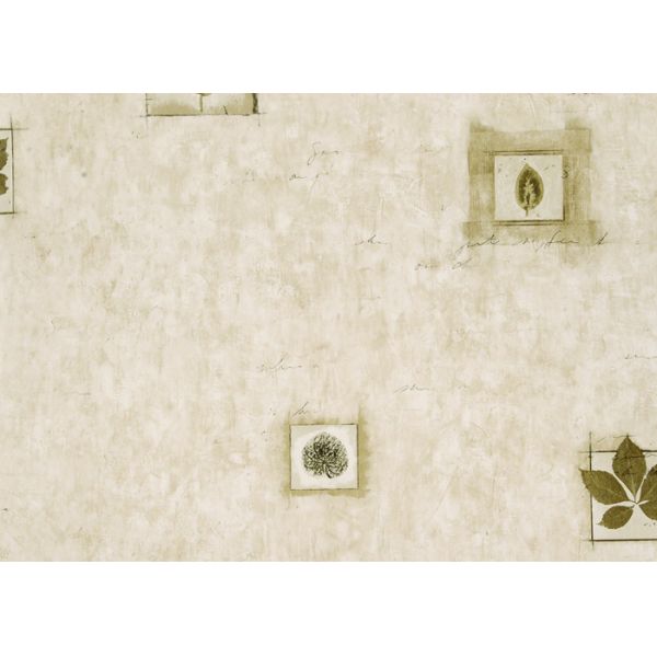 Non Woven Washable Contemporary Wall Coverings For Bedroom / Living Room , SGS CSA