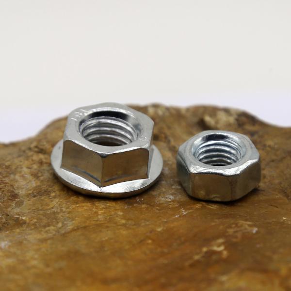 Cold Heading Customized Stainless Steel Nut Metric Systems DIN ISO Standard