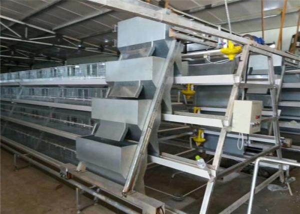 Professional Poultry Cage Farming  Stackable Chicken Cages For Laying Eggs