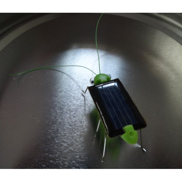 Solar locust, Solar grasshopper (Solar Toys) toys-solar, Solar Toys,Minimum Quantity More