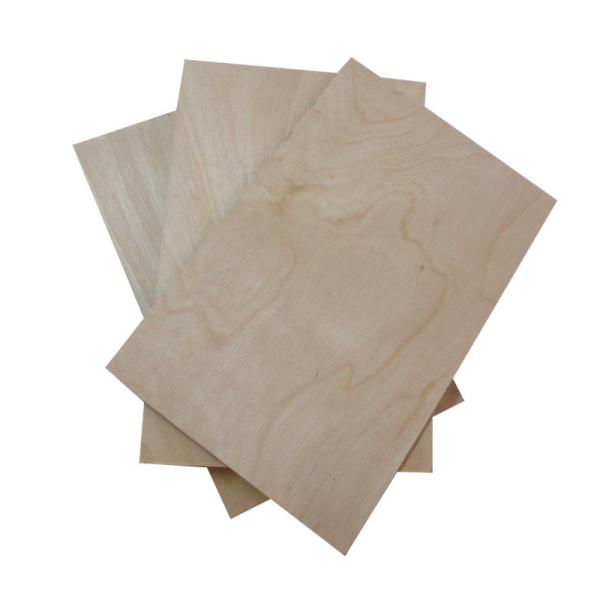 Full Hardwood Core MR 12mm Film Faced Birch Plywood