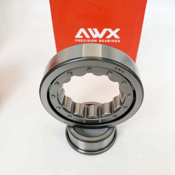 Brass Cage Material Full Complement Cylindrical Roller Bearings NJ2226E NJ2227E  For High Precision Applications