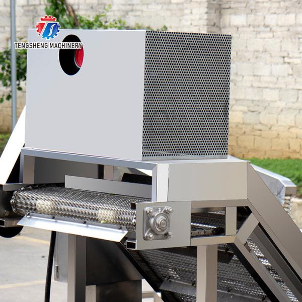 2.6KW Fruit and vegetable cleaning and processing equipment automatic washing machine conveyor belt bubble cleaning mach