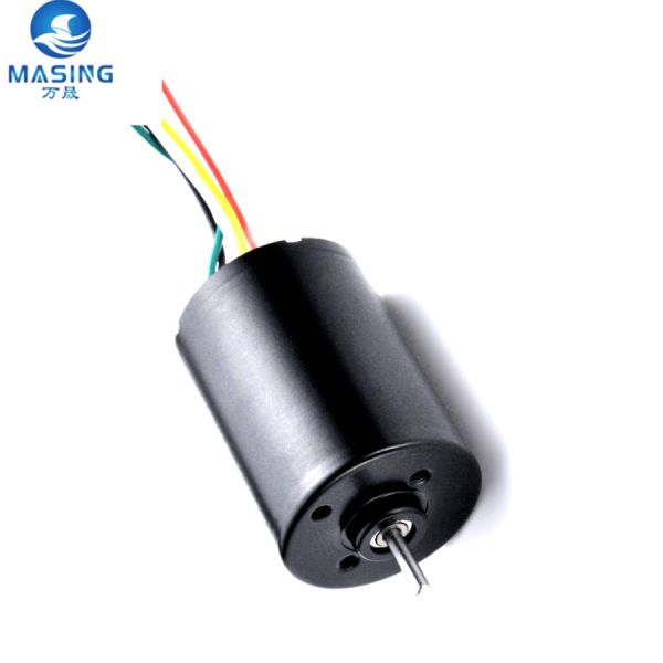28mm Permanent Magnet DC Brushless Motor 24V 2838 BLDC Permanent Magnet Motor