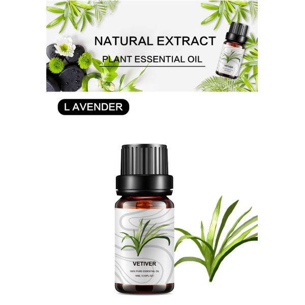 Organic Vetiver Essential Oil Bottle Steam Distillation Essential Oils