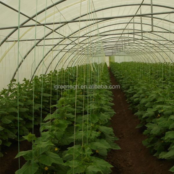 IGreen Small Single Layer Agricultural Greenhouse with Film Cover for Middle East & Gulf Countries and Desert Climate
