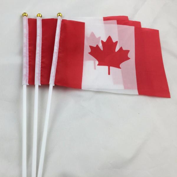 Mini Hand Waving Flag On Plastic Stick Sports Club School Festival National Flag Polyester
