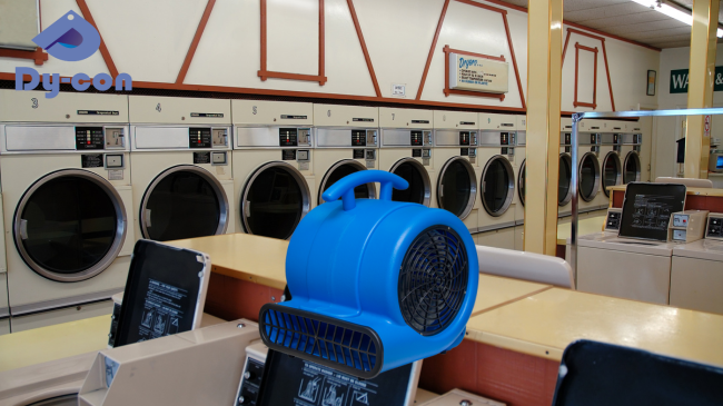 Souffleur d'air portable Dycon YL-805 220V 1000W pour séchage rapide