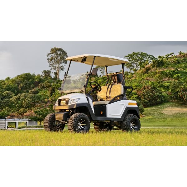 2-Seat Electric Golf Buggy with 30% Climbing Ability 48V Lithium Battery Range For 50-70 km