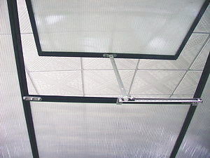 Not Coated Frame Finishing 6ft X 8ft Large Garden Greenhouse for Outdoor Gardening