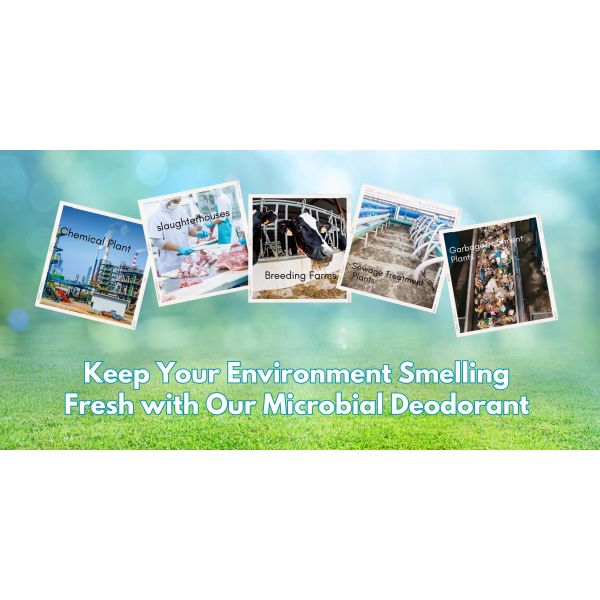 Естественный удаление запаха экологически безопасный очиститель воздуха Чистый