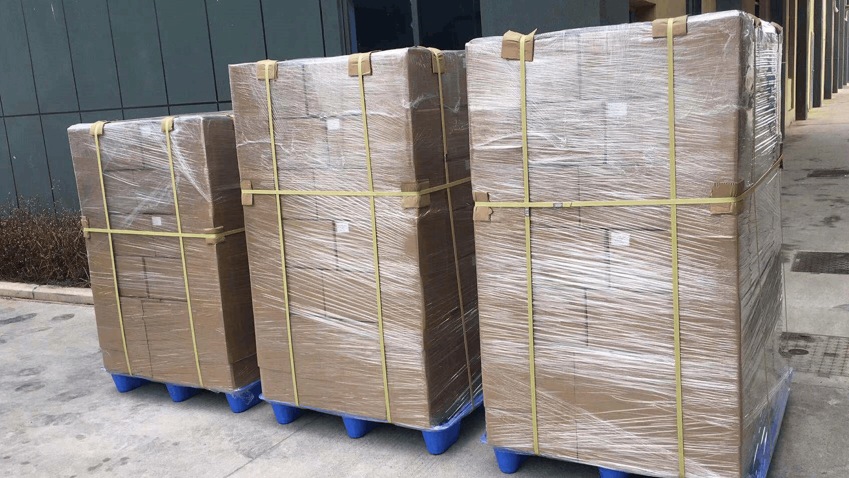 Fish Collagen Peptide CAS 9064-67-9 Water Soluble 100% Pure Food Grade