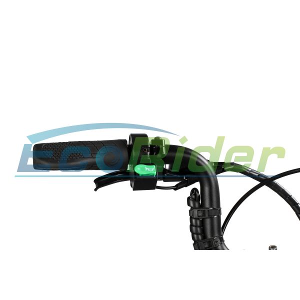 New Design Foldable Electric Scooter Three Wheels 48V 250W Folding Electric Bike