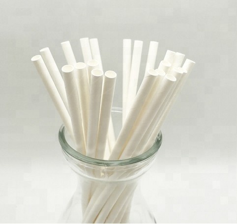 Takeaway Food Biodegradable PSM Cornstarch Disposable Bowl with Customized Technique