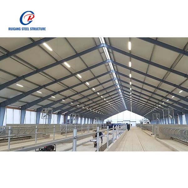 Modern Design Steel Cow and Pig Shed for Farmhouse for Construction and Housing Purpose Steel Structure Farm