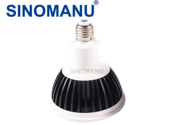 Rapid 10W COB PAR38 LED Lamp , 1000LM PAR38 LED Cool White Aluminum Heat Sink